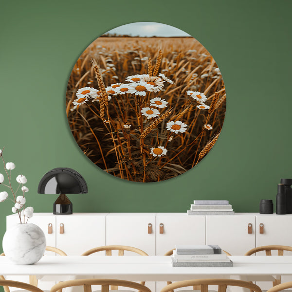 Margrieten in een Gouden Korenveld aluminium muurcirkel