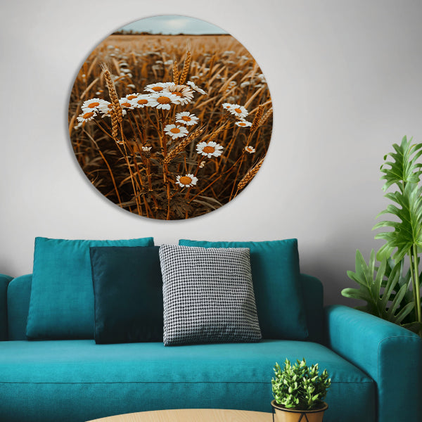 Margrieten in een Gouden Korenveld aluminium muurcirkel