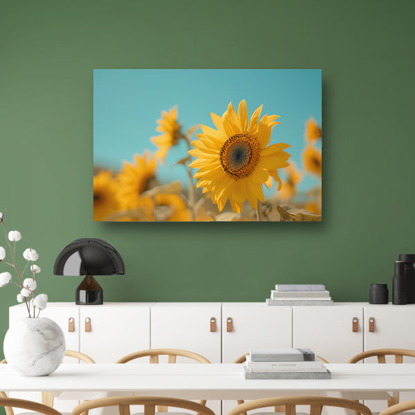 Veld vol zonnebloemen onder helderblauwe hemel canvas