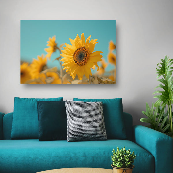Veld vol zonnebloemen onder helderblauwe hemel canvas