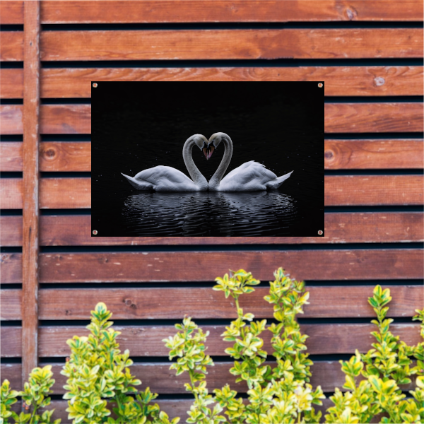 Twee zwanen die hart vormen op water tuinposter