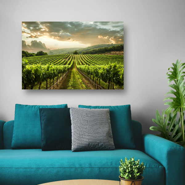Zonsondergang in de Lush Wijngaard Heuvels canvas