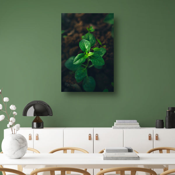 Jonge plant in het zonlicht acrylglas