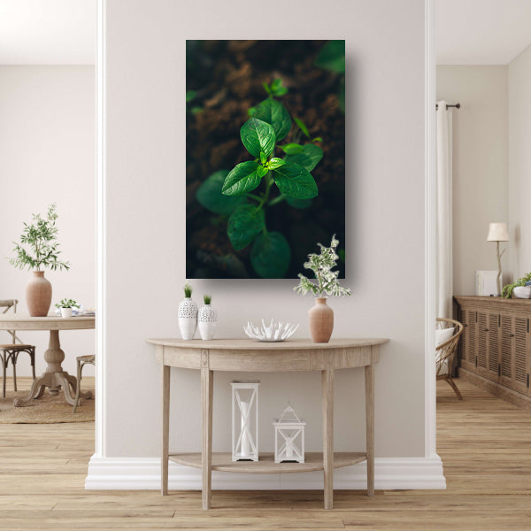 Jonge plant in het zonlicht acrylglas