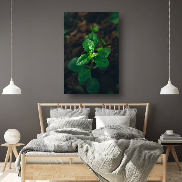 Jonge plant in het zonlicht acrylglas