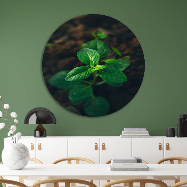 Jonge plant in het zonlicht aluminium muurcirkel