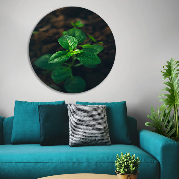 Jonge plant in het zonlicht aluminium muurcirkel