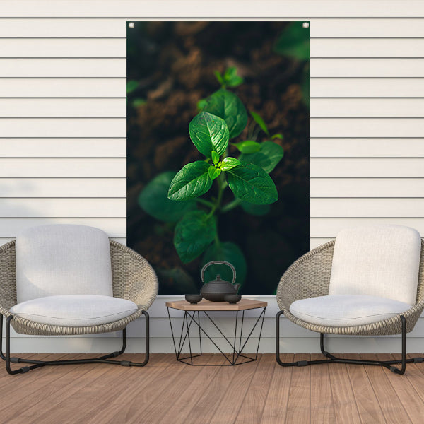 Jonge plant in het zonlicht tuinposter