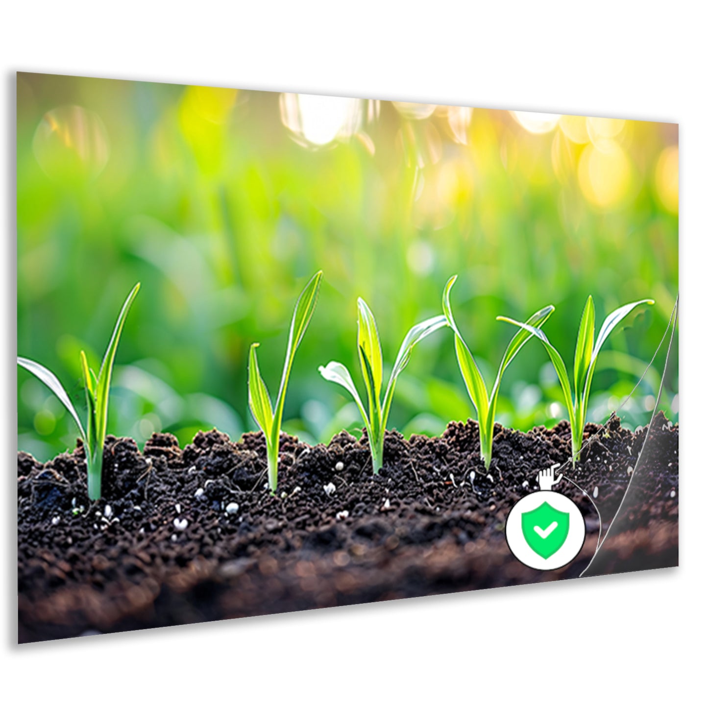Ontkiemende spruiten in voedzame aarde poster