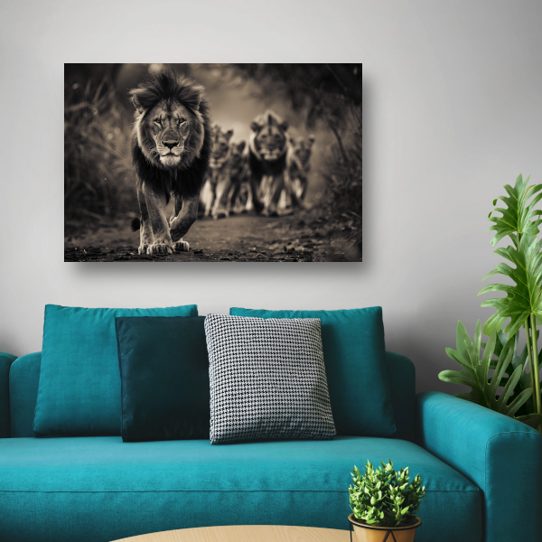 Leeuwenfamilie op savanne poster