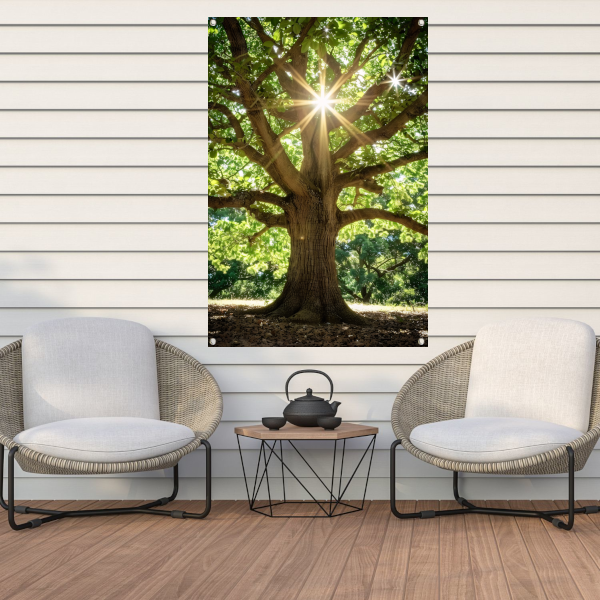 Zonnestralen door een majestueuze boom tuinposter