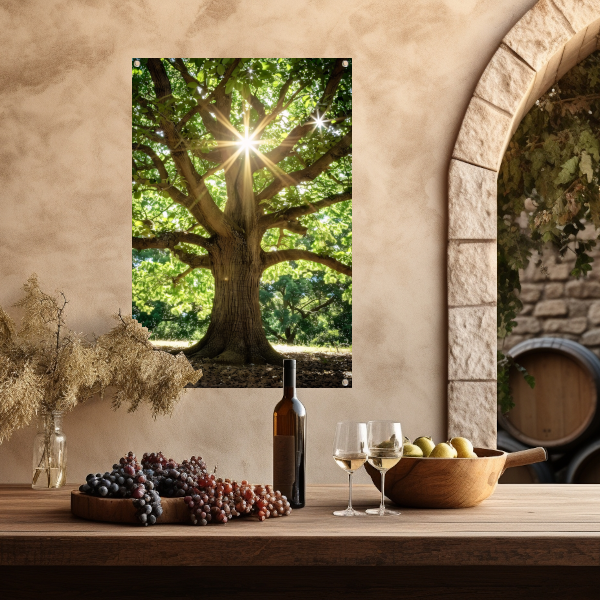 Zonnestralen door een majestueuze boom tuinposter