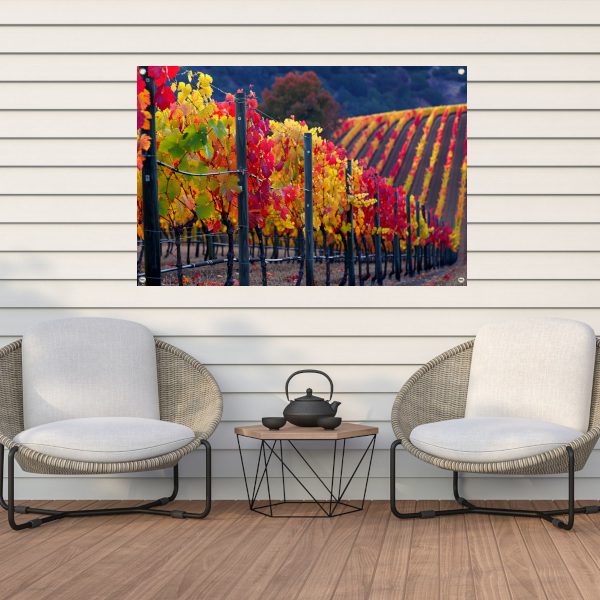 Wijngaard in Herfsttinten Panorama tuinposter