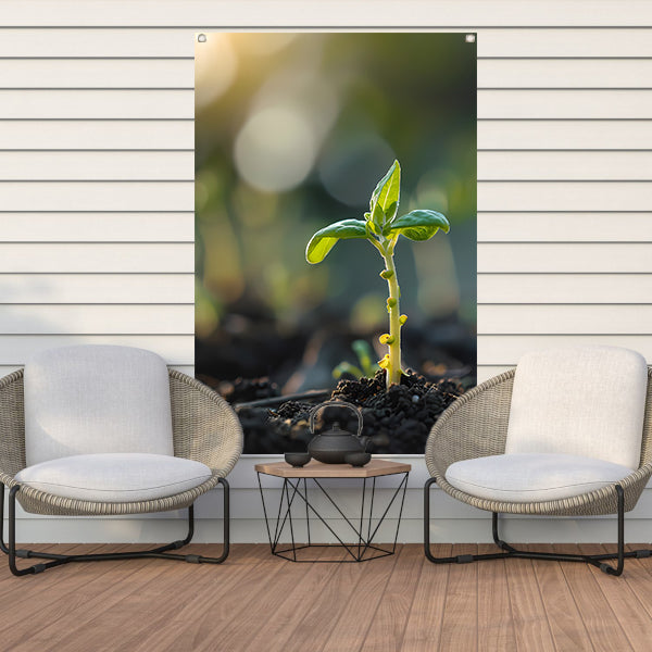 Jonge plant in ochtendzon tuinposter