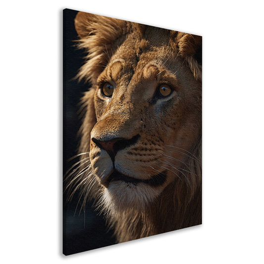 Close-up van leeuw met indringende blik canvas