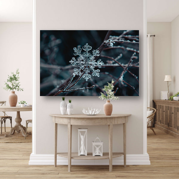 Gedetailleerde macrofoto van een sneeuwvlok canvas