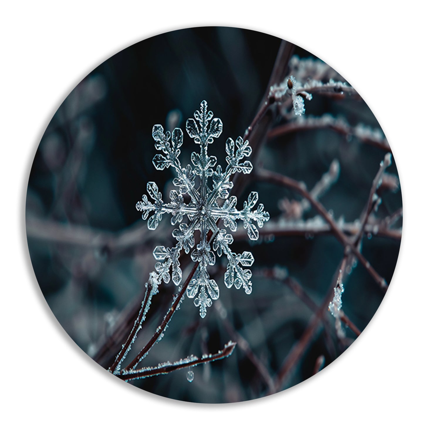 Gedetailleerde macrofoto van een sneeuwvlok forex muurcirkel