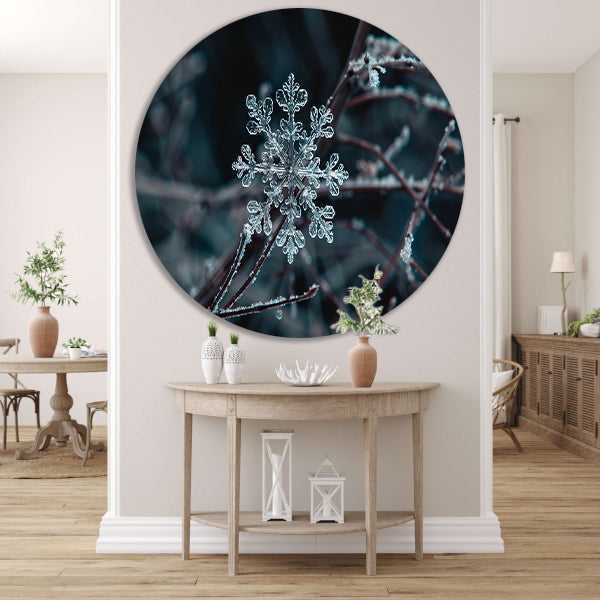 Gedetailleerde macrofoto van een sneeuwvlok forex muurcirkel