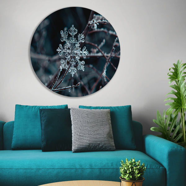 Gedetailleerde macrofoto van een sneeuwvlok forex muurcirkel