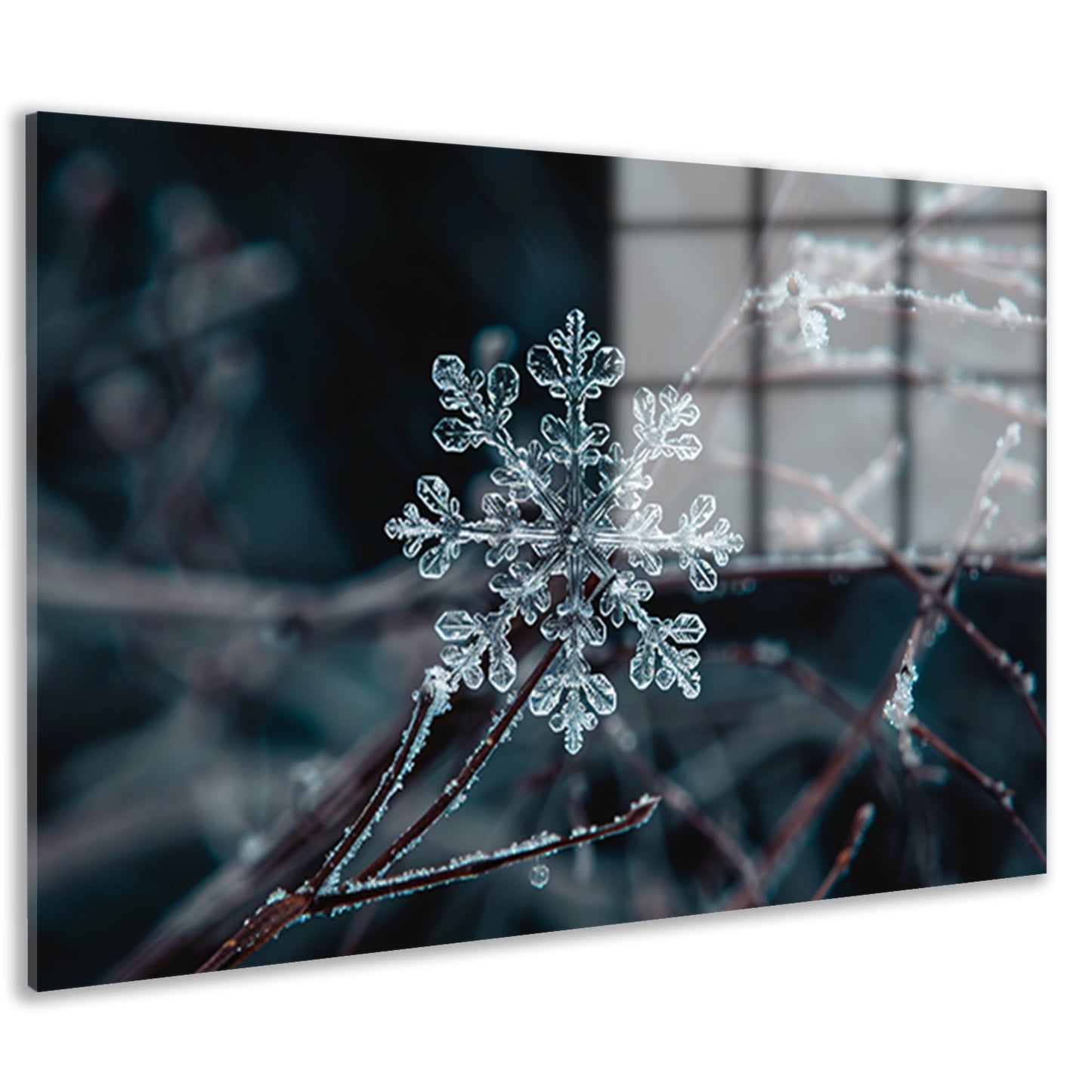 Gedetailleerde macrofoto van een sneeuwvlok acrylglas