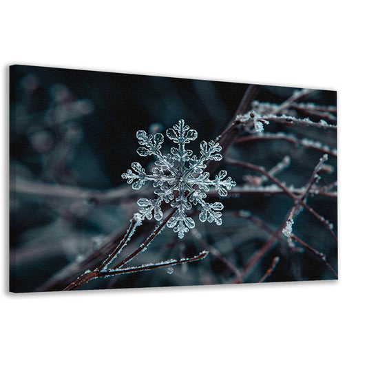 Gedetailleerde macrofoto van een sneeuwvlok   canvas