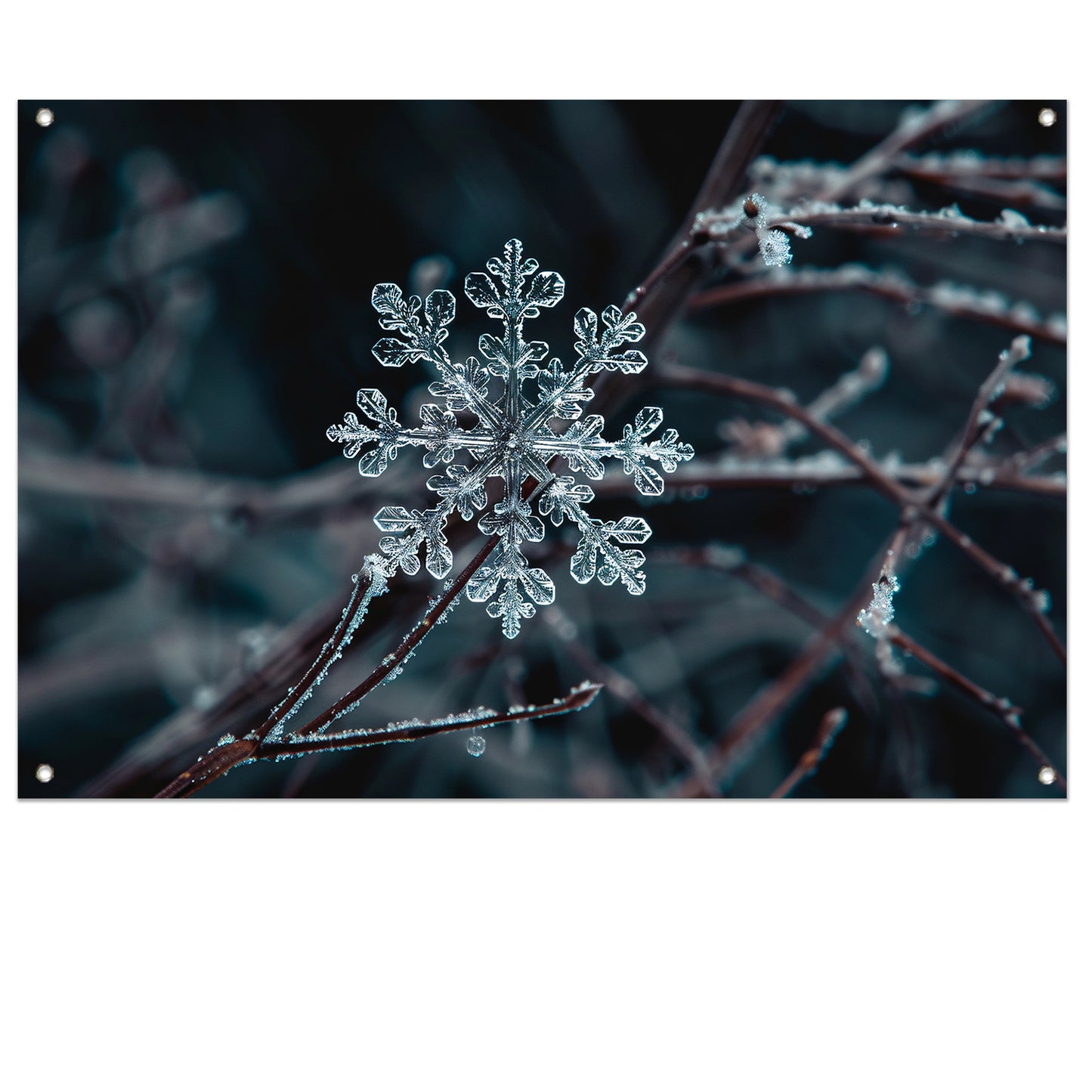 Gedetailleerde macrofoto van een sneeuwvlok tuinposter