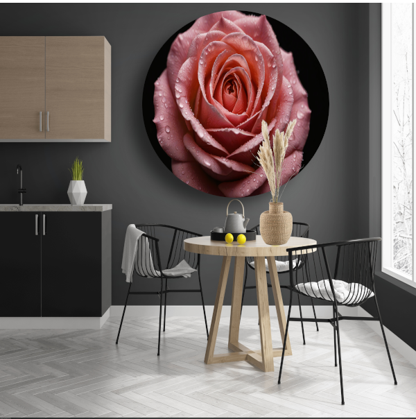 Roze Roos met Dauwdruppels op Zwart aluminium muurcirkel