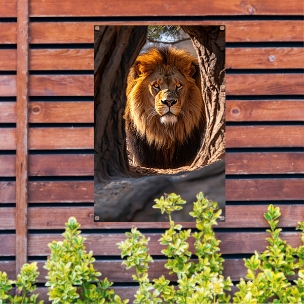 Portret van een Leeuw in een Boom tuinposter