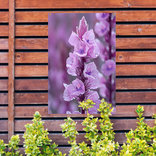 HyperRealistisch bloem met dauwdruppels tuinposter