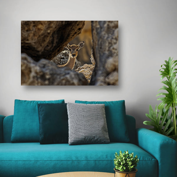 Jonge Ree in Stenen Schuilplaats canvas