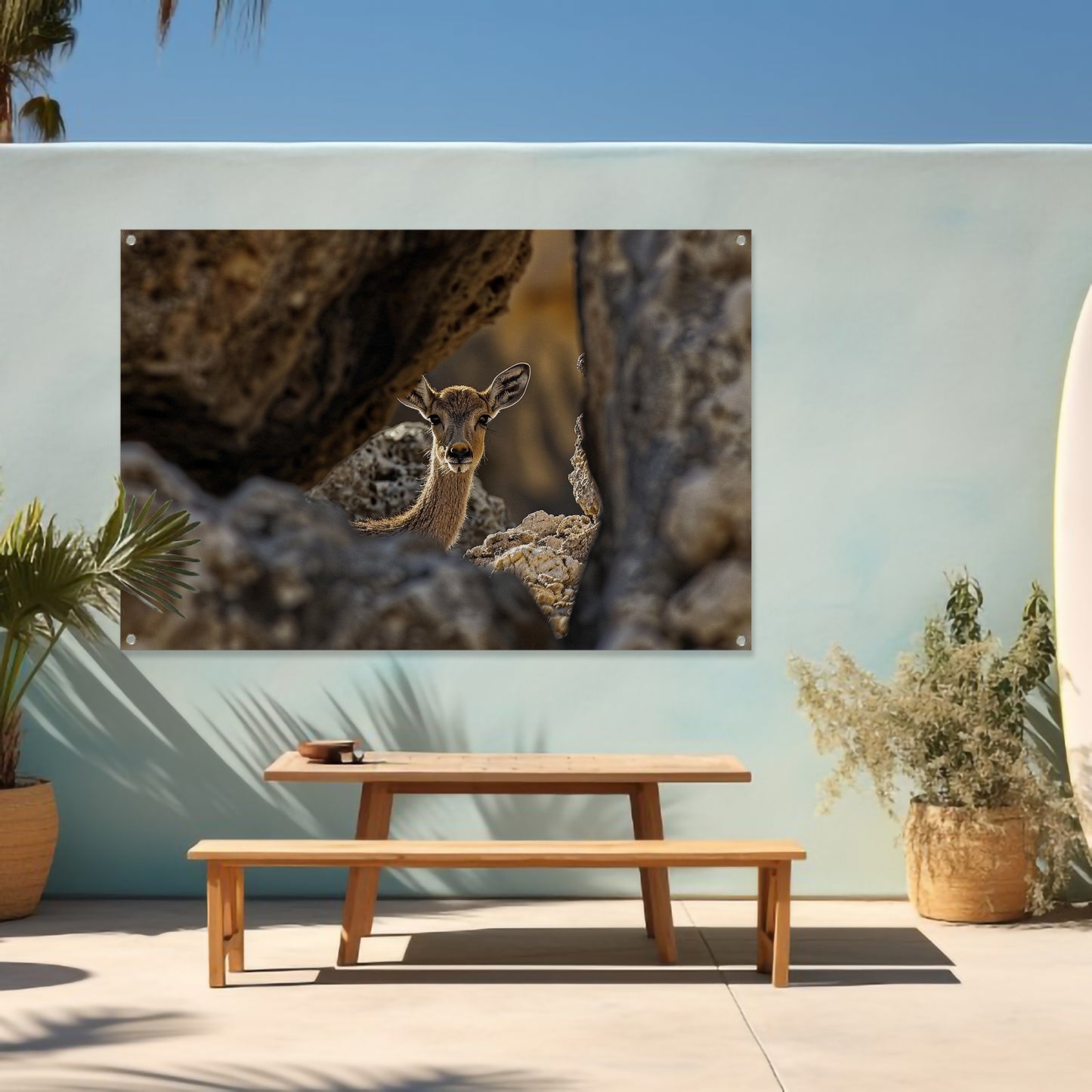 Jonge Ree in Stenen Schuilplaats tuinposter