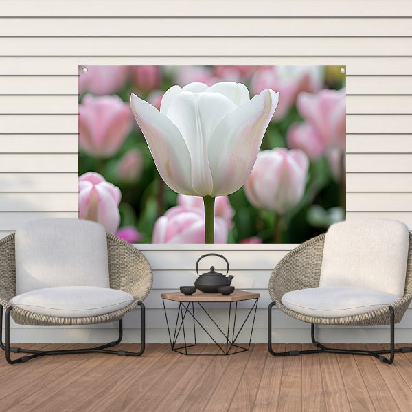 Witte tulp omringd door zachte kleuren tuinposter