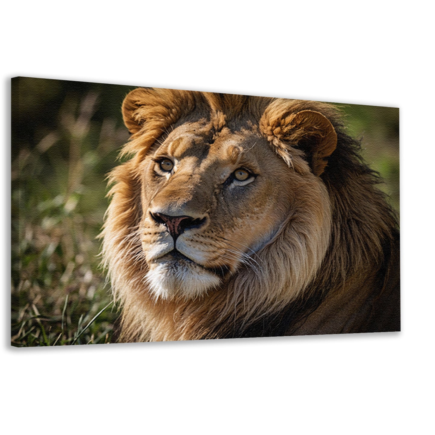 Majestueuze close-up van een leeuw in de natuur canvas