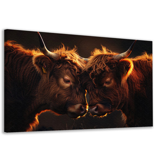 Twee Schotse Hooglanders bij zonsondergang canvas