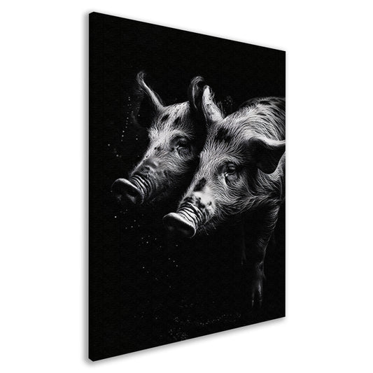 Intense blikken van zwart-wit varkens canvas