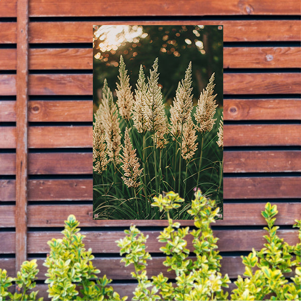 Close-up van Beige Grassen in Zonneschijn tuinposter