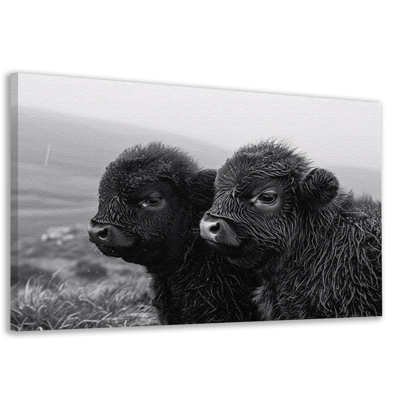 Twee kalveren in monochrome mistige ochtend canvas