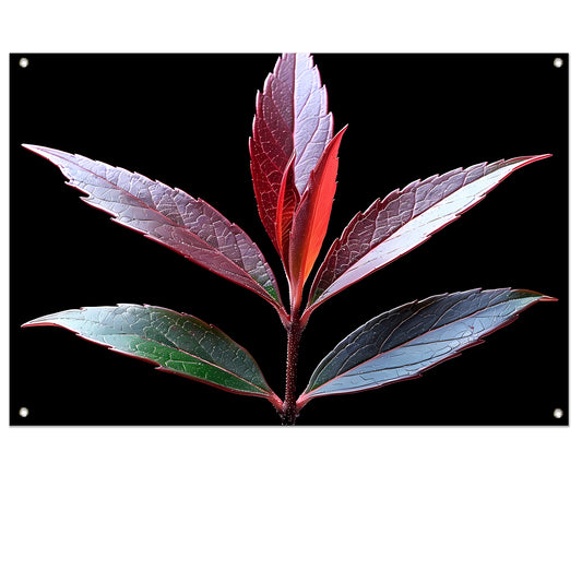 Minimalistisch Blad Zwart-Wit tuinposter