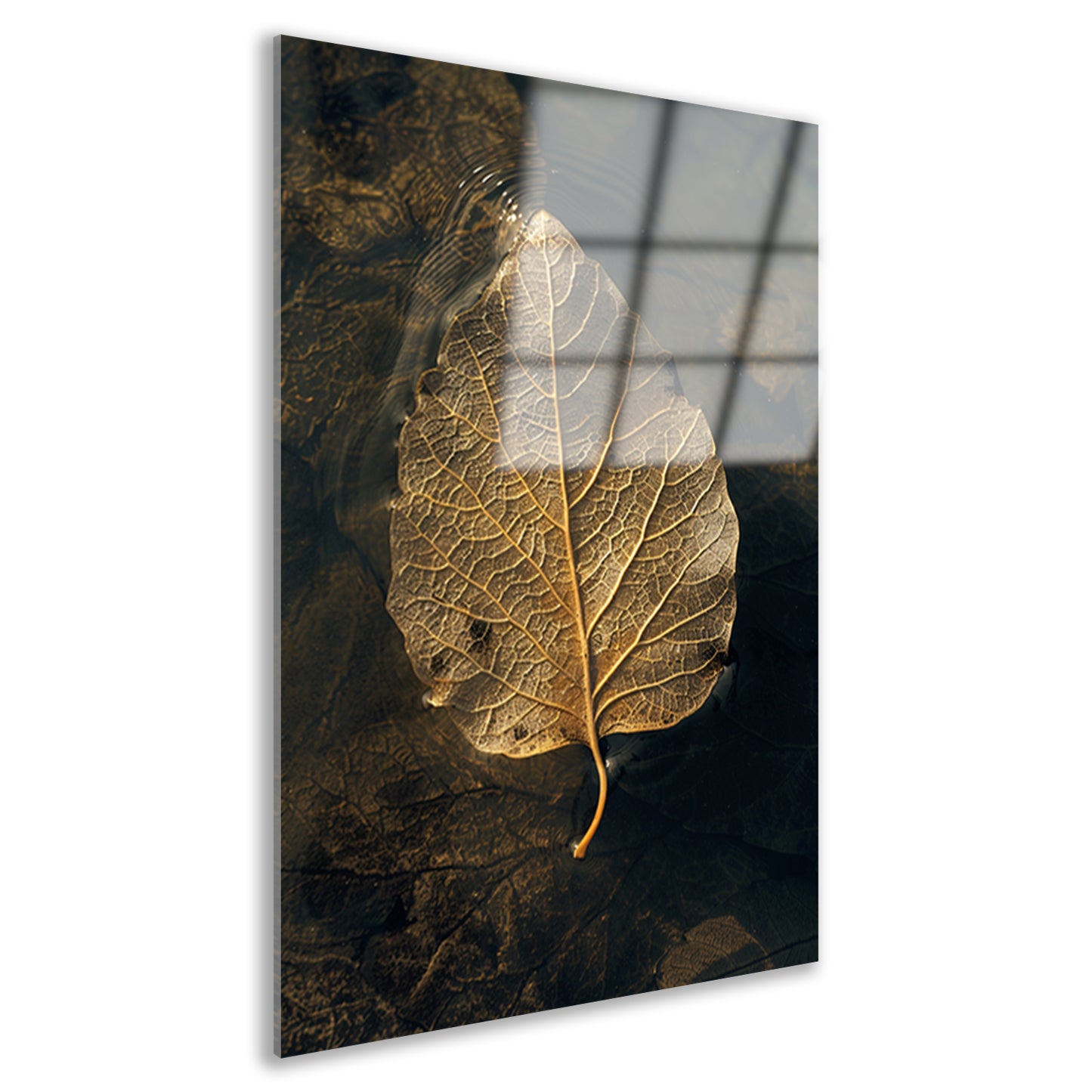 Blad met gouden nerven drijft op donker water acrylglas