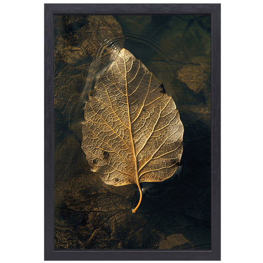 Blad met gouden nerven drijft op donker water canvas met baklijst