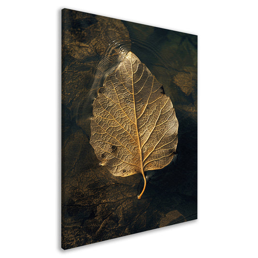 Blad met gouden nerven drijft op donker water canvas