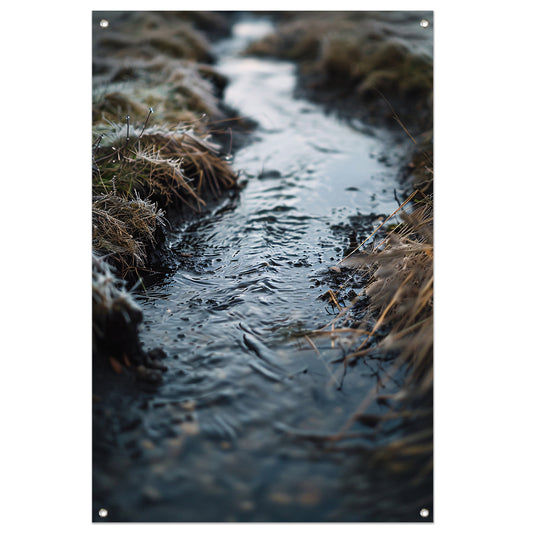 Bevroren beek in weelderig landschap tuinposter