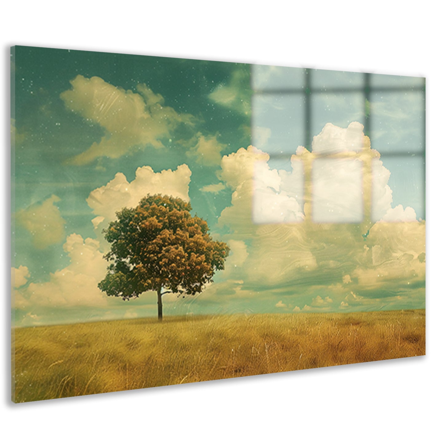 Boom in een uitgestrekt veld onder wolken acrylglas