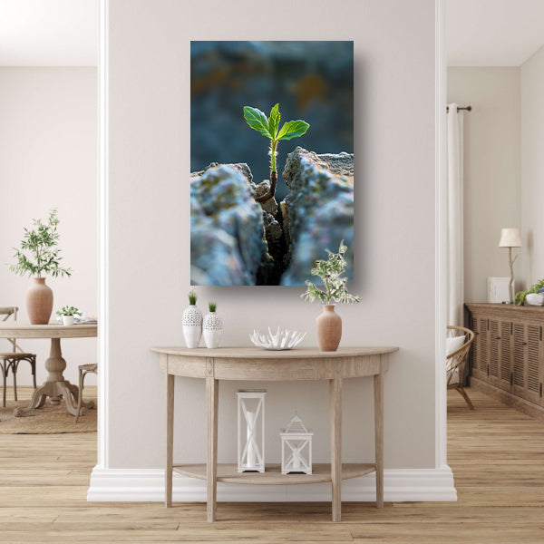 Jonge Plant Groeit Uit Steen canvas
