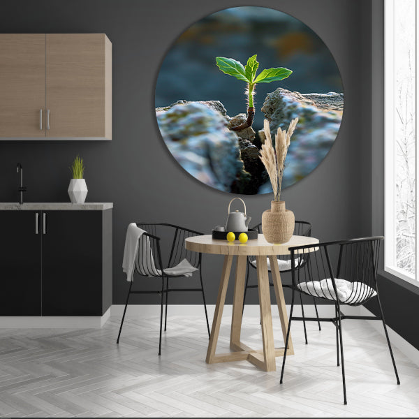Jonge Plant Groeit Uit Steen aluminium muurcirkel