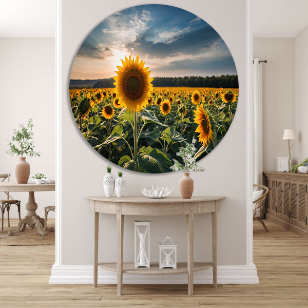 Veld vol zonnebloemen bij zonsondergang forex muurcirkel