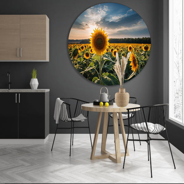 Veld vol zonnebloemen bij zonsondergang forex muurcirkel