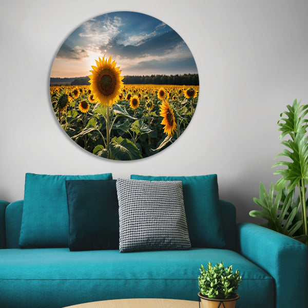 Veld vol zonnebloemen bij zonsondergang forex muurcirkel
