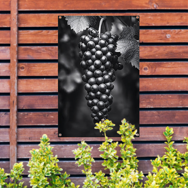 Zwart-witfoto van een tros druiven met bladeren tuinposter