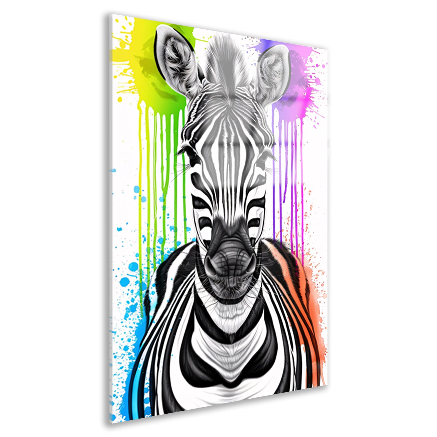 Kleurrijke Zebra Street Art Print acrylglas